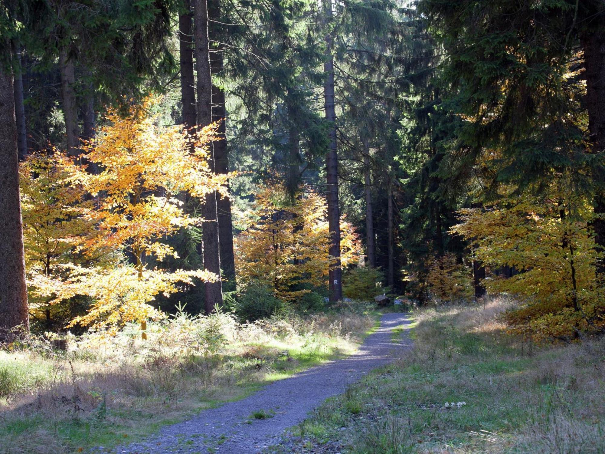 Apartment In Heubach In The Forest Gießübel Εξωτερικό φωτογραφία